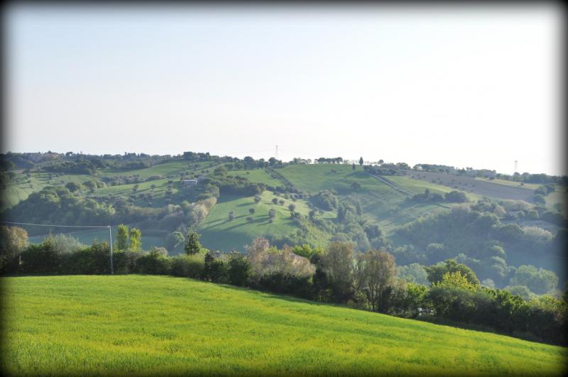 Photos for house 643709