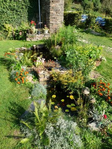 Photos for house 643732