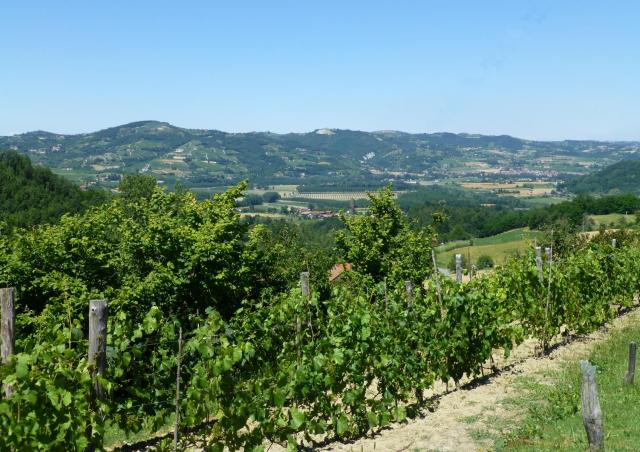 Photos for house 643737