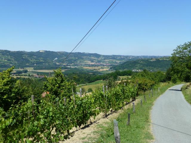 Photos for house 643738