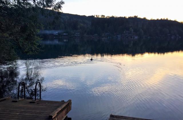 Photos for house 643768