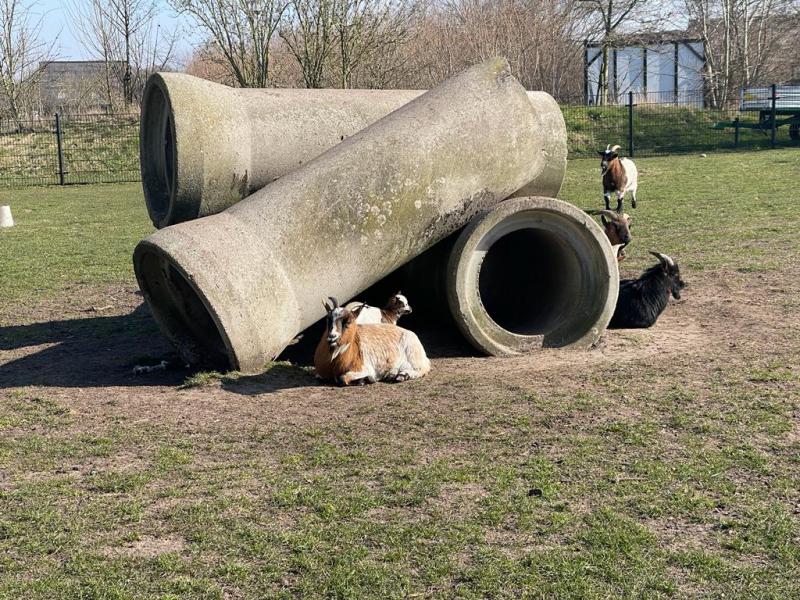 Photos for house 643772