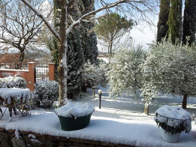 Photos for house 643776