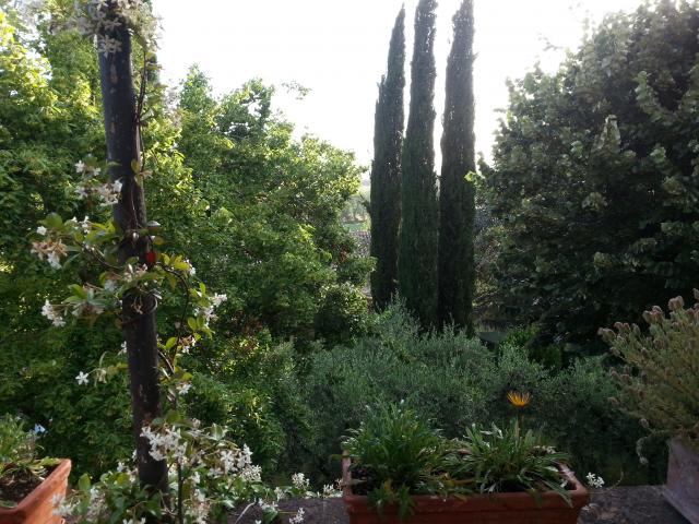 Photos for house 643776