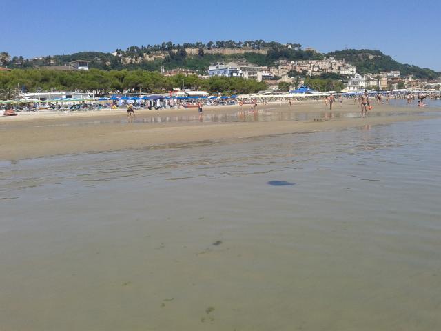 Photos for house 643780