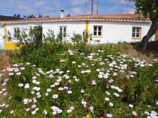 Photos for house 643786