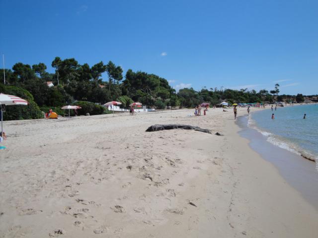 Photos for house 643789