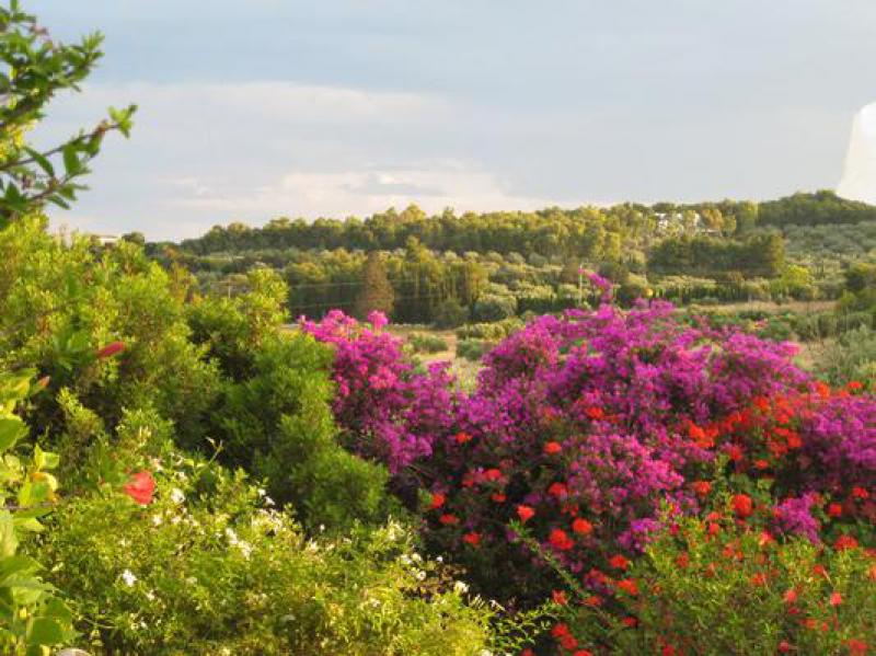 Photos for house 643810