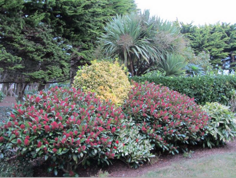 Photos for house 643839