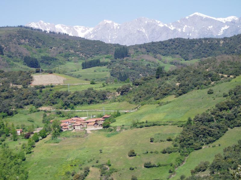 Photos for house 643856