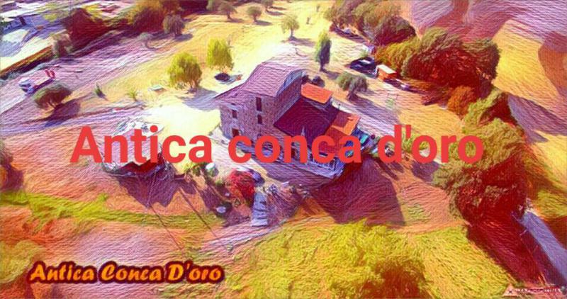 Photos for house 643909