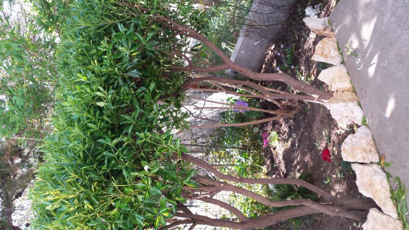 Photos for house 643922