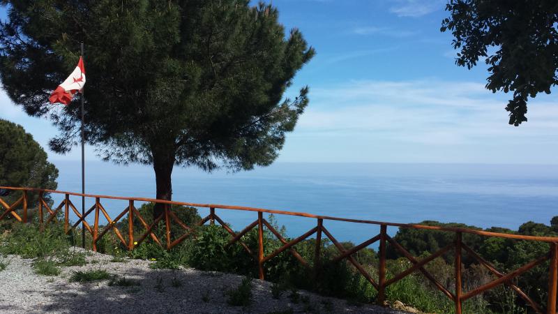 Photos for house 643924