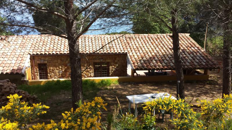 Photos for house 643924