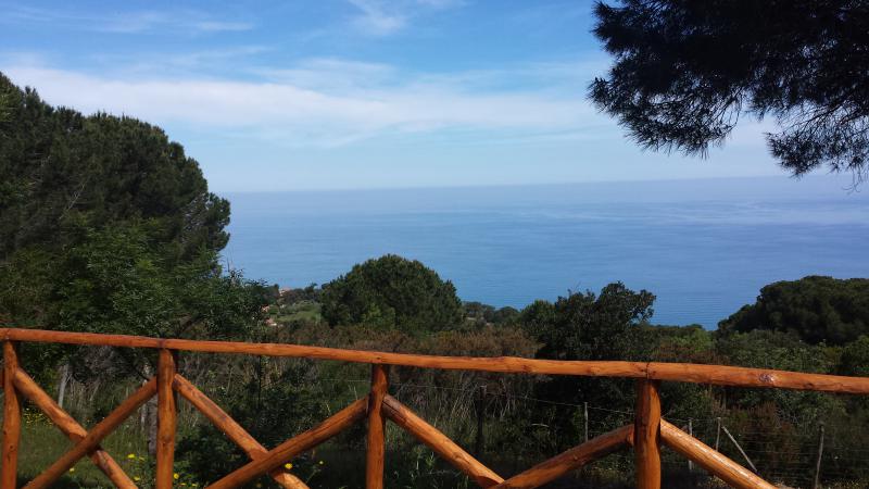 Photos for house 643924