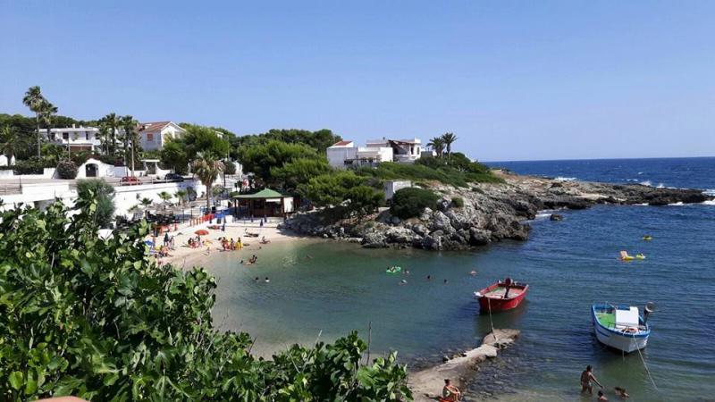 Photos for house 643932