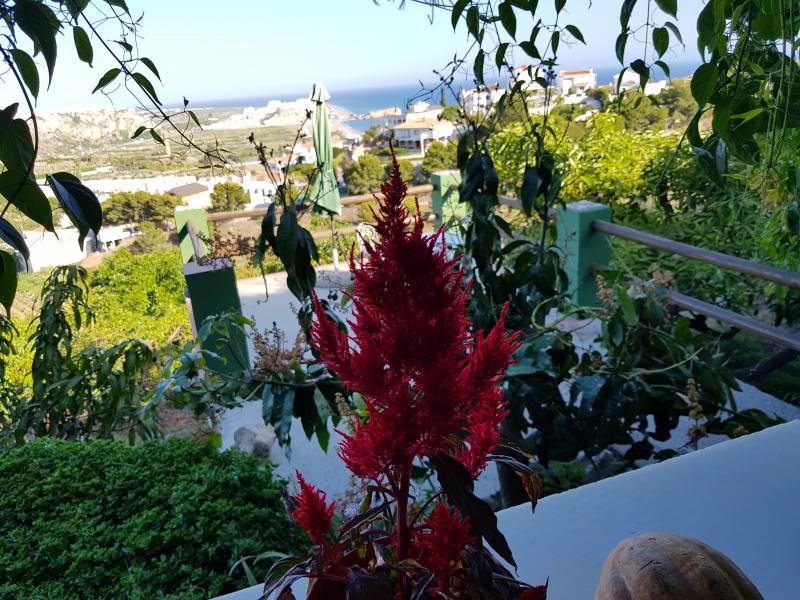 Photos for house 643935