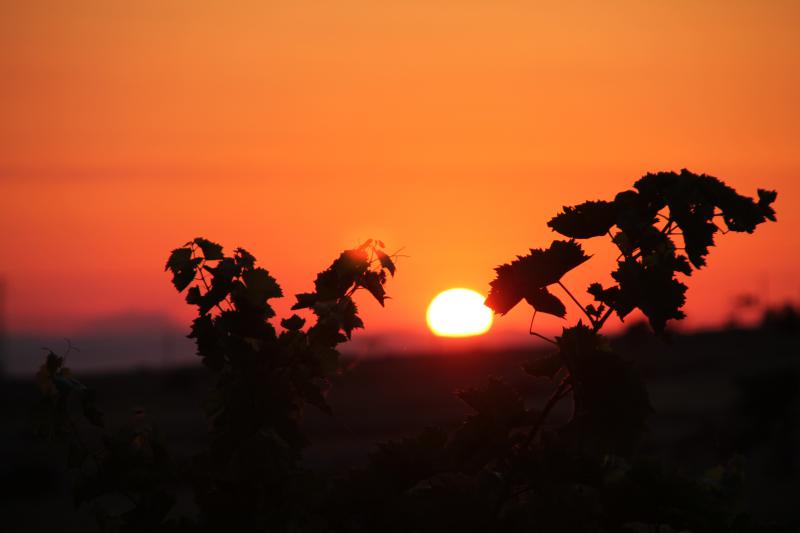 Photos for house 643978