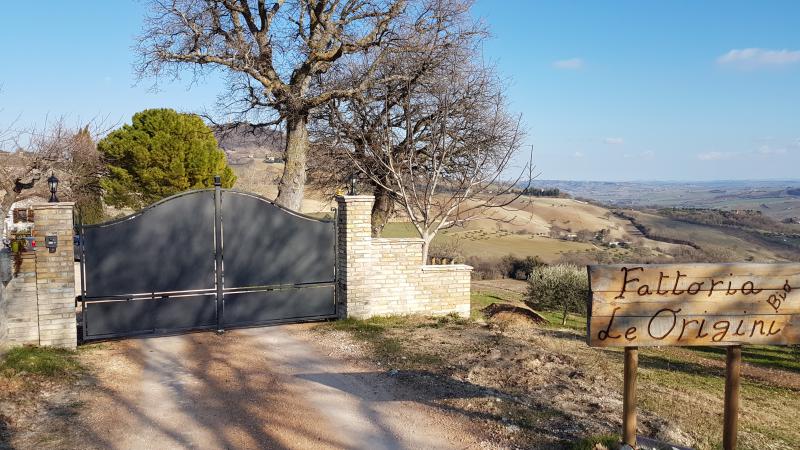 Photos for house 643984