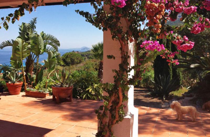 Photos for house 644004