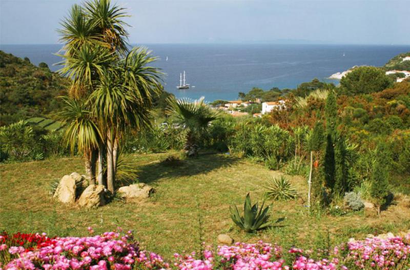 Photos for house 644004