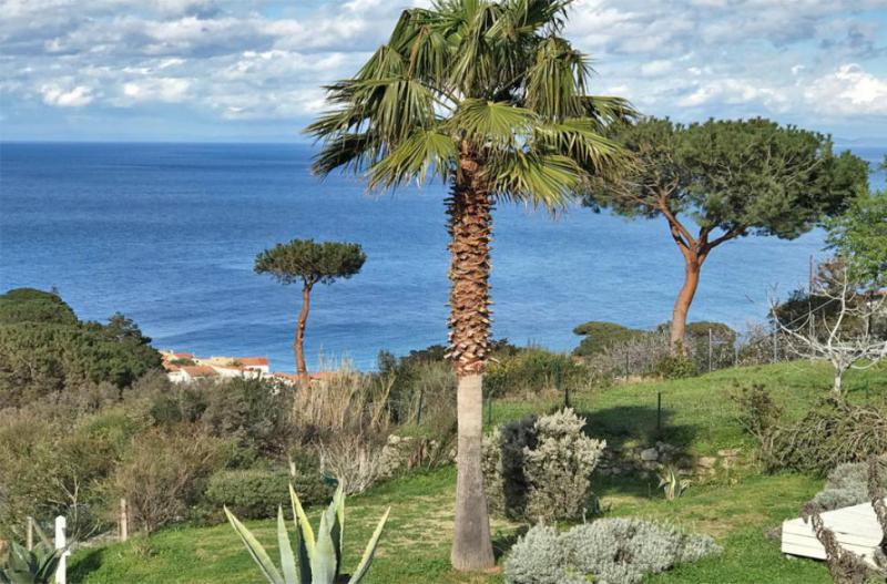 Photos for house 644007