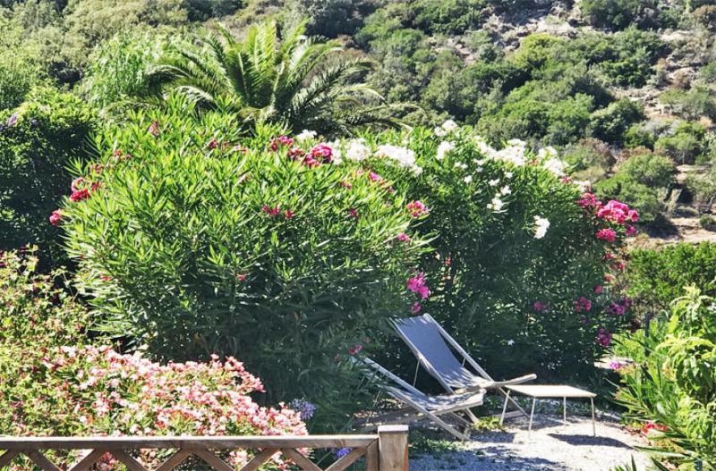 Photos for house 644008