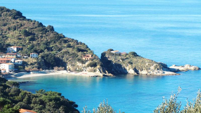 Photos for house 644010