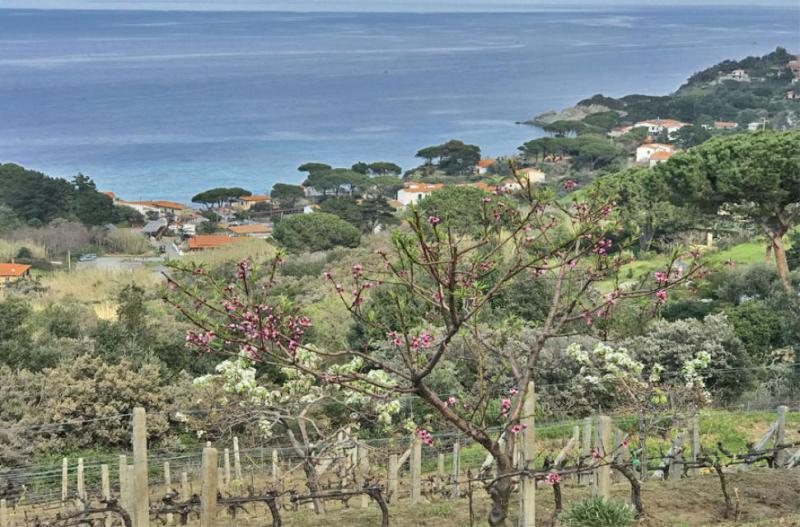 Photos for house 644010