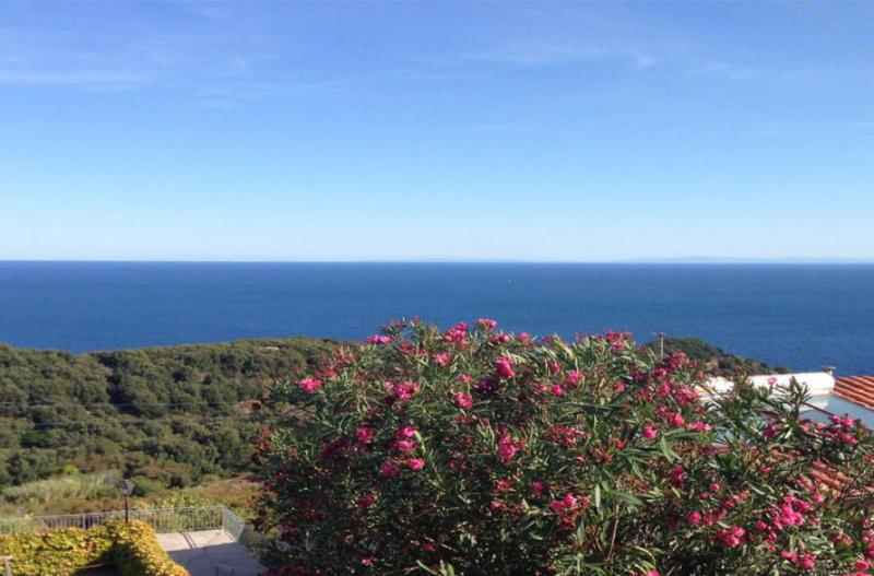 Photos for house 644011