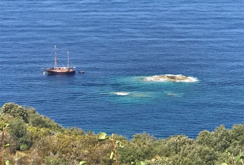 Photos for house 644012