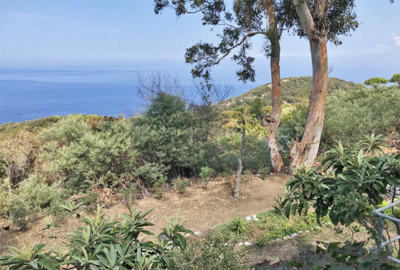 Photos for house 644012