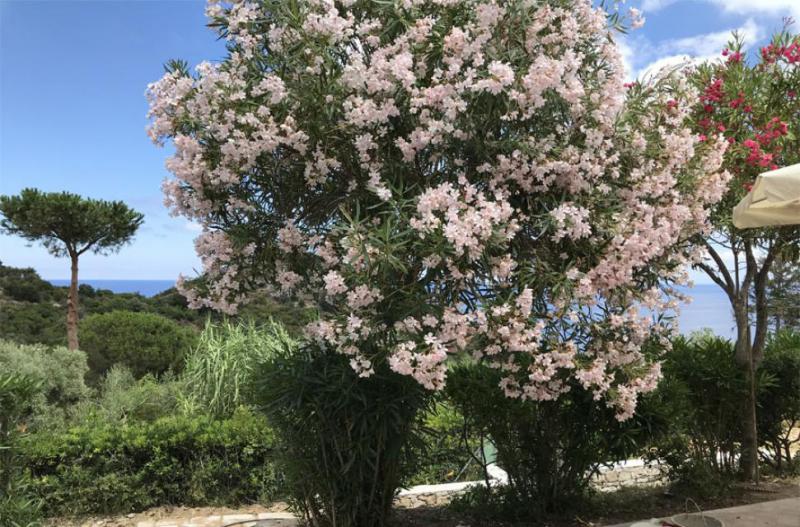 Photos for house 644013