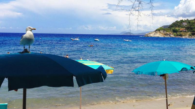 Photos for house 644016