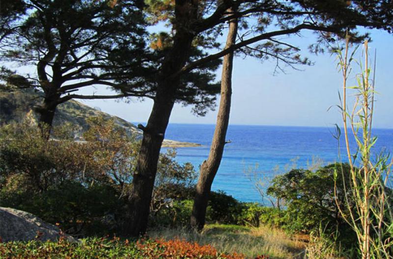 Photos for house 644018