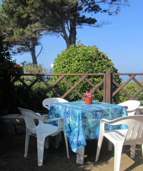 Photos for house 644019