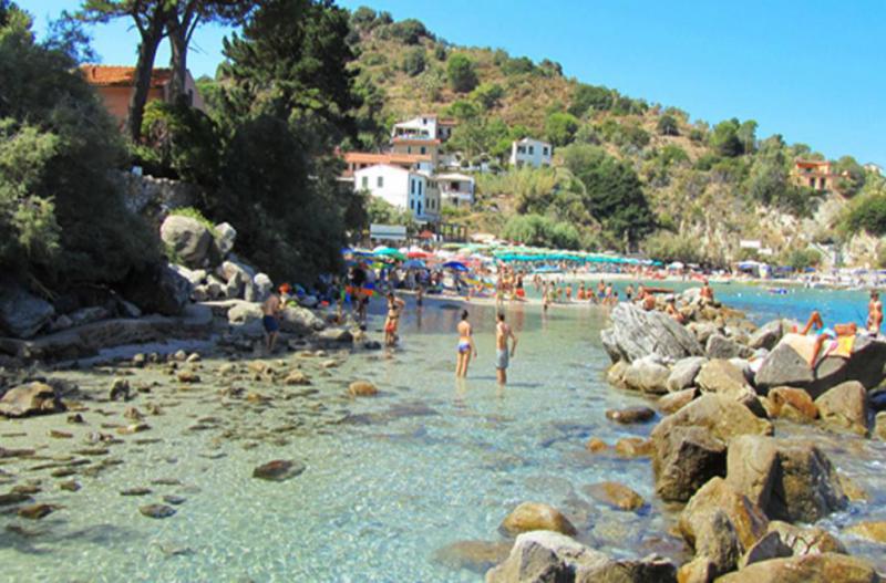 Photos for house 644020