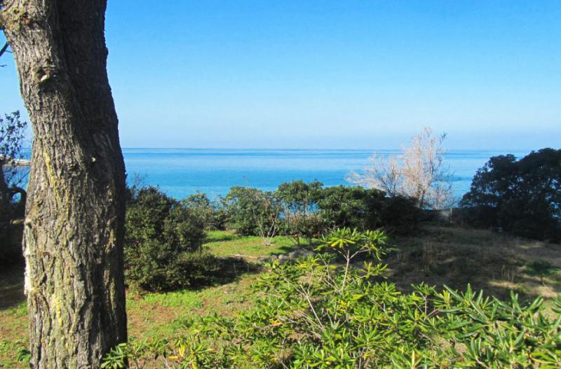 Photos for house 644021