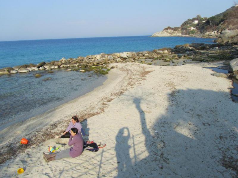 Photos for house 644023