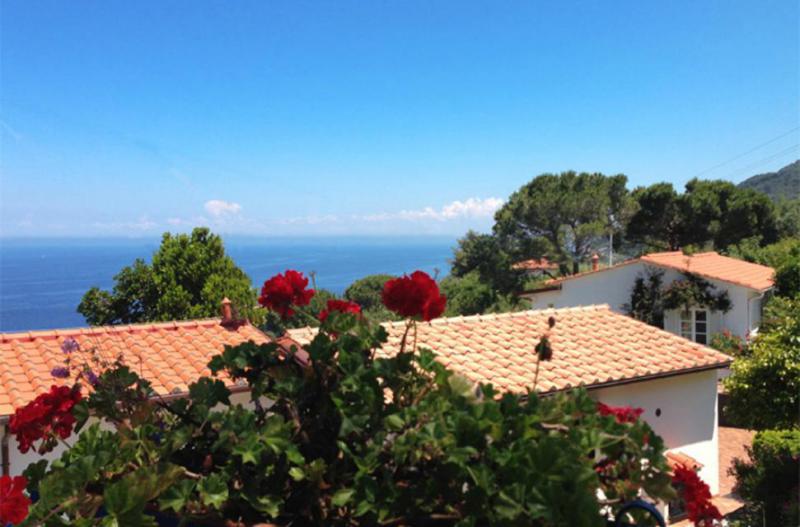 Photos for house 644025