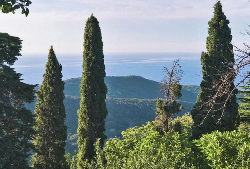 Photos for house 644032