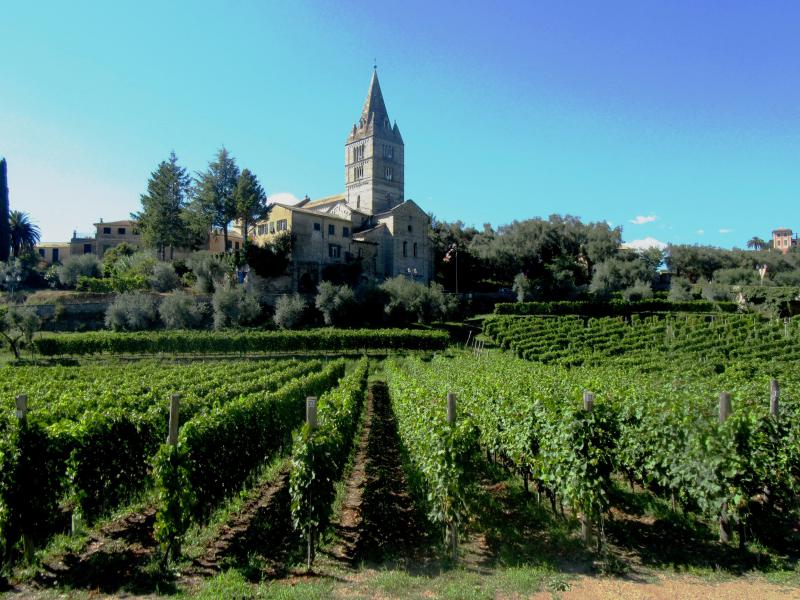 Photos for house 644040