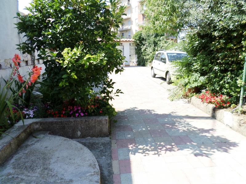 Photos for house 644047