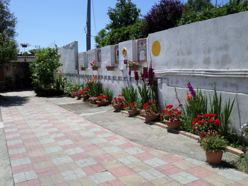 Photos for house 644047