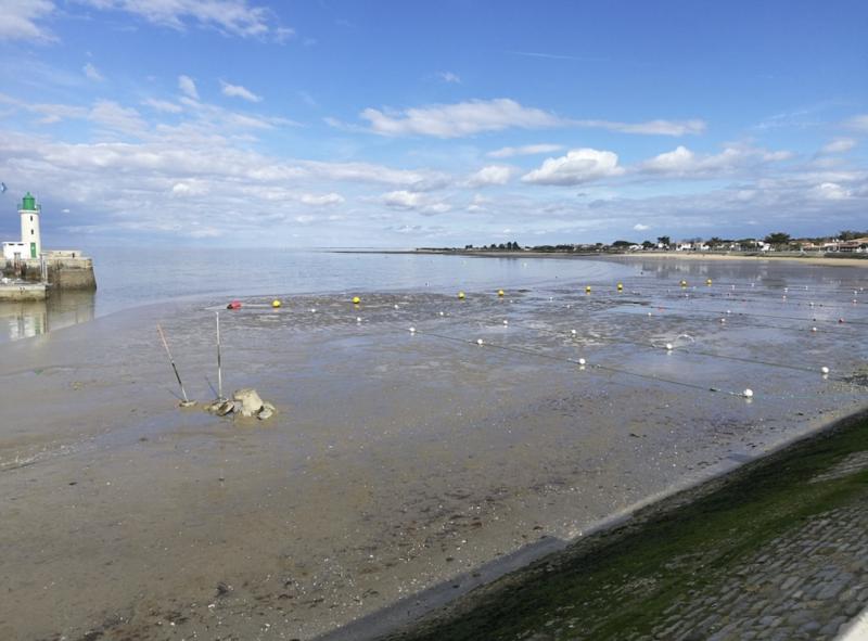 Photos for house 644055