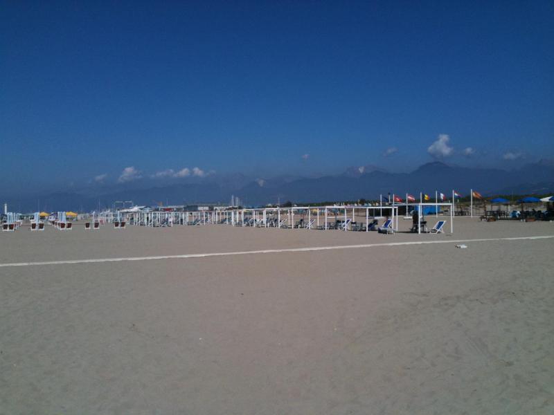 Photos for house 644056