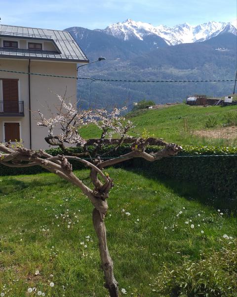 Photos for house 644060