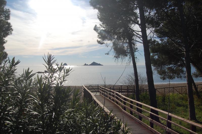 Photos for house 644065