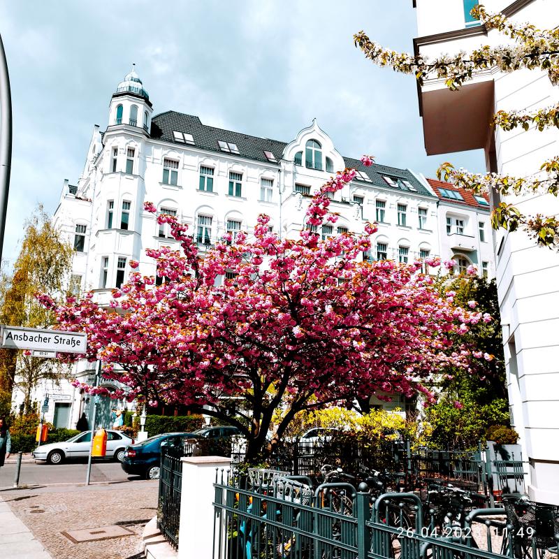 Photos for house 644071