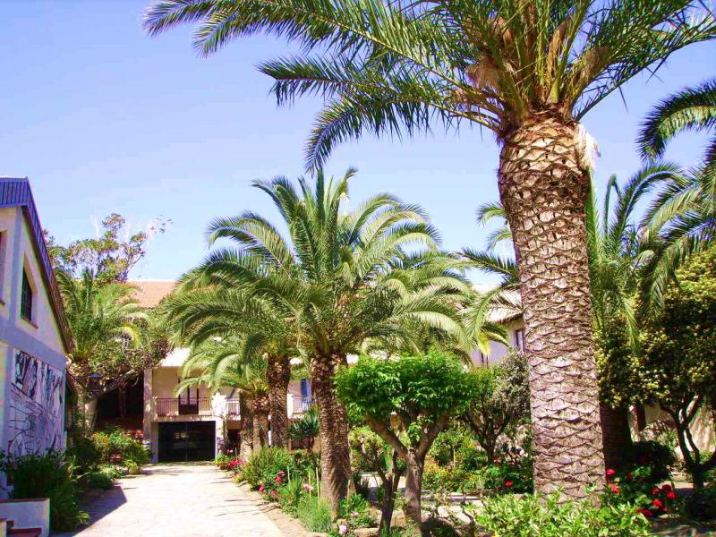 Photos for house 644087